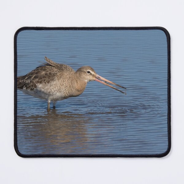 Item preview, Black Tailed Godwit designed and sold by LaurenTucker.