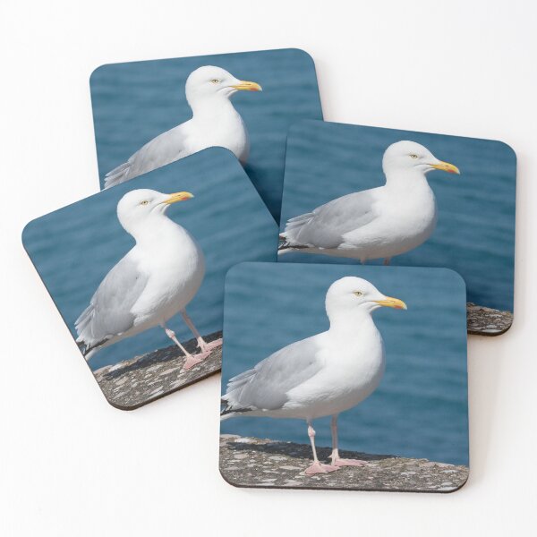Item preview, Herring Gull designed and sold by LaurenTucker.