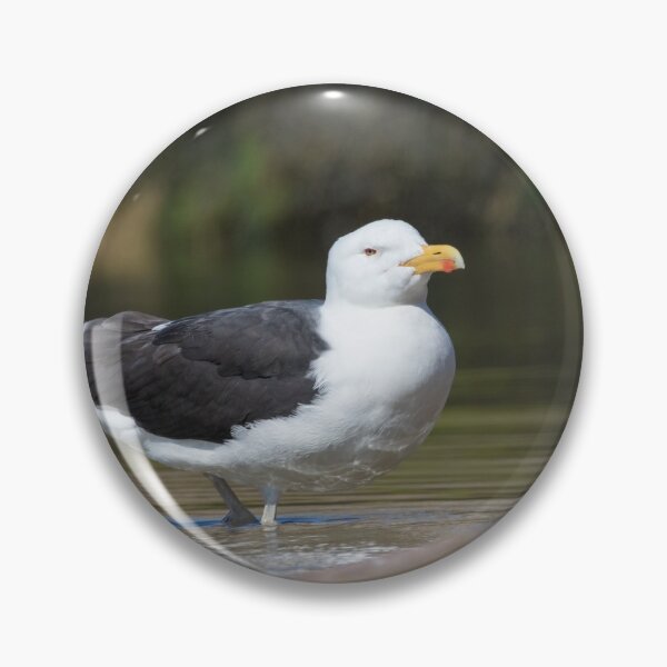 Item preview, Great Black Backed Gull designed and sold by LaurenTucker.