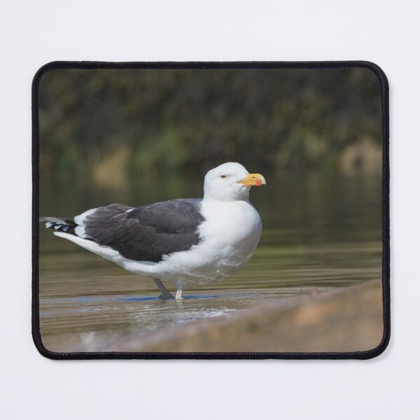 Item preview, Great Black Backed Gull designed and sold by LaurenTucker.