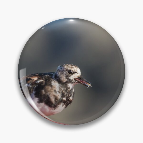 Item preview, Turnstone designed and sold by LaurenTucker.
