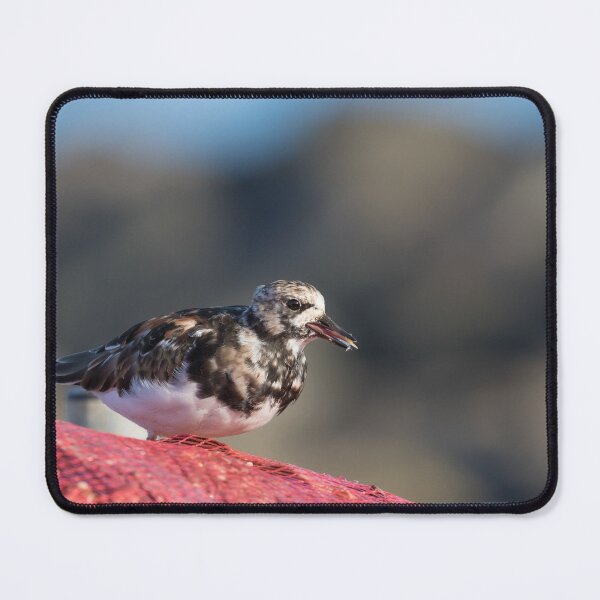Item preview, Turnstone designed and sold by LaurenTucker.