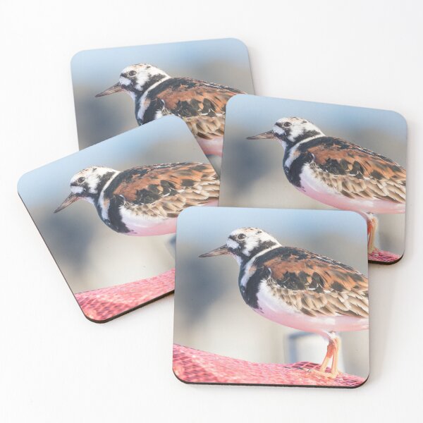 Item preview, Turnstone designed and sold by LaurenTucker.