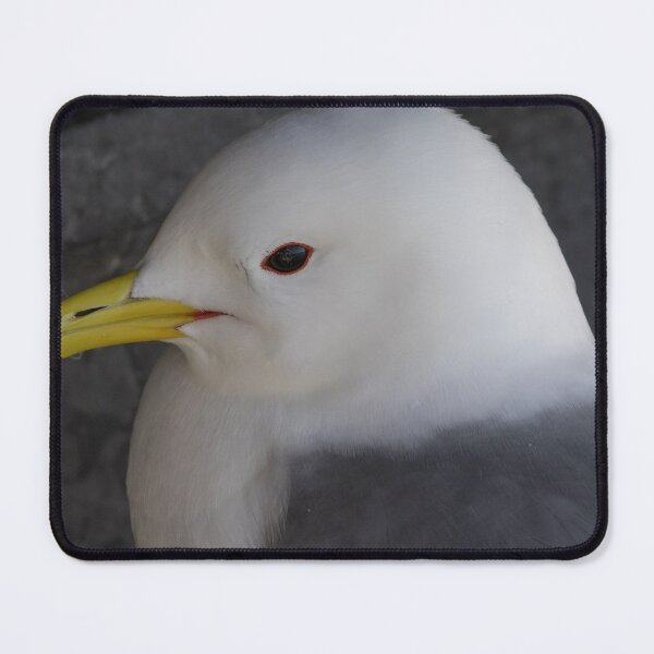 Item preview, Kittiwake designed and sold by LaurenTucker.