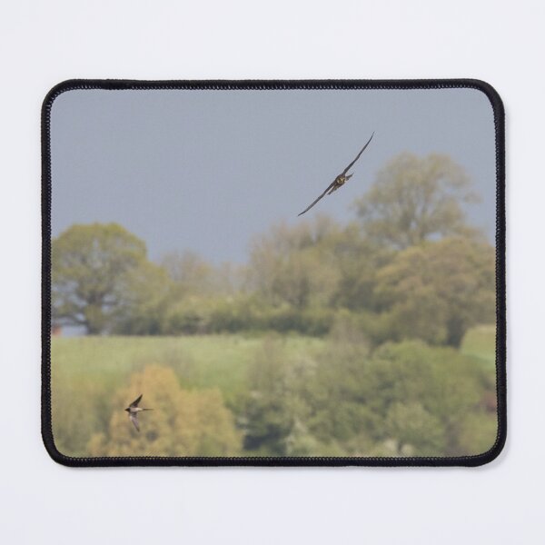 Item preview, Hobby designed and sold by LaurenTucker.