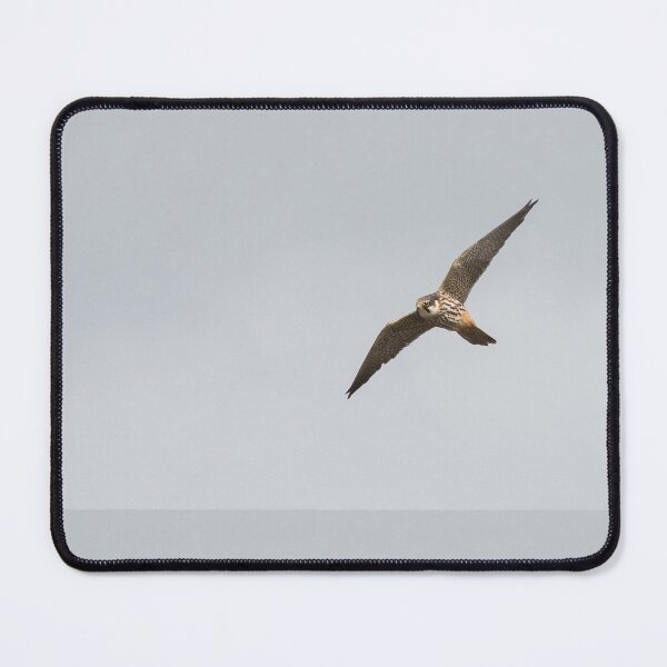 Item preview, Hobby designed and sold by LaurenTucker.