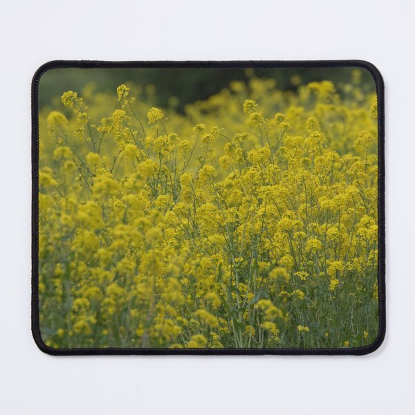 Item preview, Rapeseed Field designed and sold by LaurenTucker.