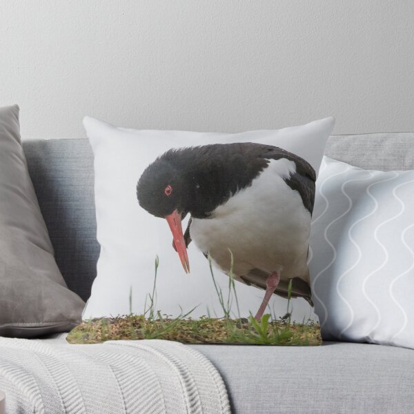 Item preview, Oystercatcher designed and sold by LaurenTucker.