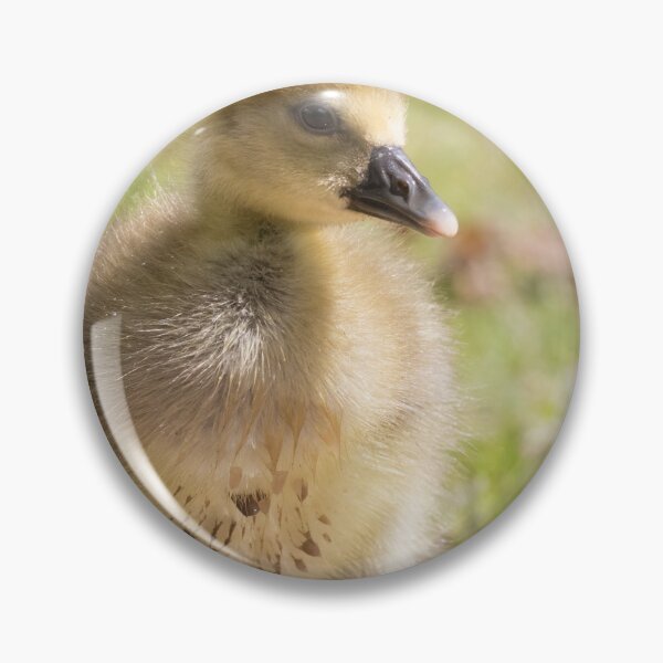 Item preview, Greylag Goose (Baby) designed and sold by LaurenTucker.