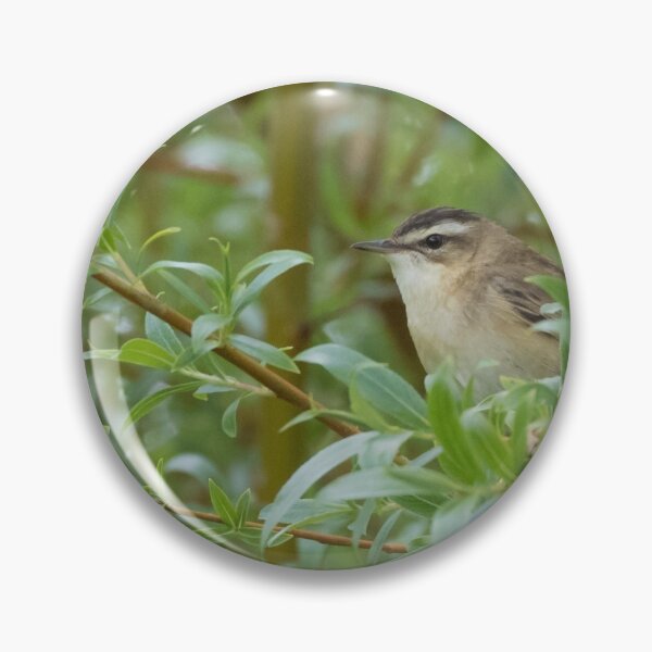 Item preview, Sedge Warbler designed and sold by LaurenTucker.