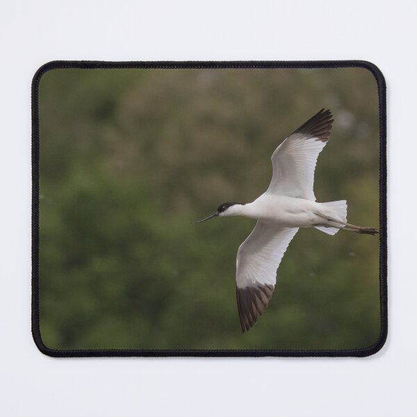 Item preview, Avocet designed and sold by LaurenTucker.