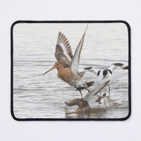 Item preview, A Little Disagreement.. designed and sold by LaurenTucker.