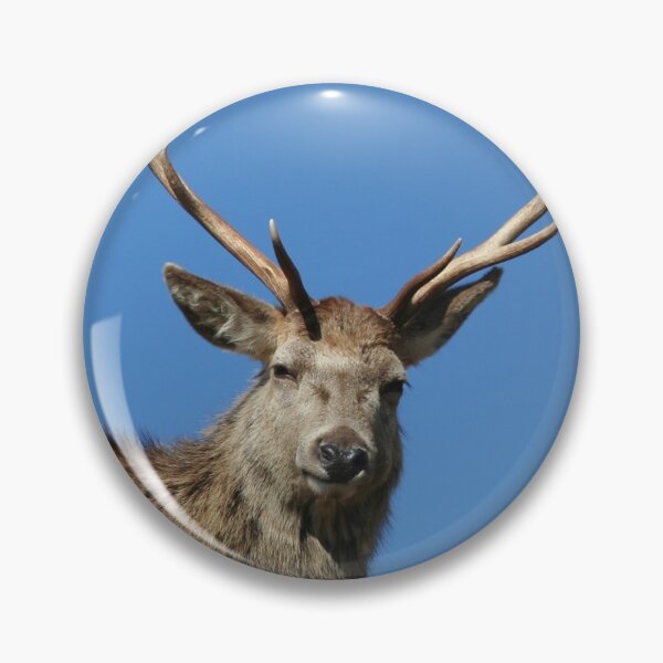 Item preview, Stag Face designed and sold by beavo.