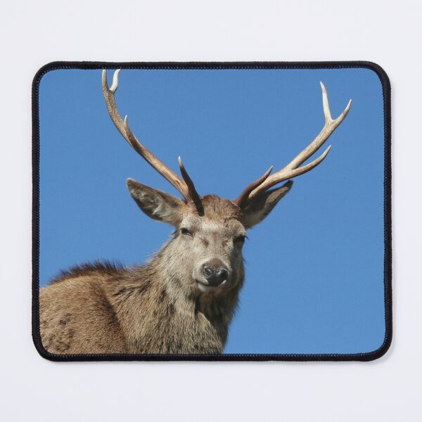 Item preview, Stag Face designed and sold by beavo.