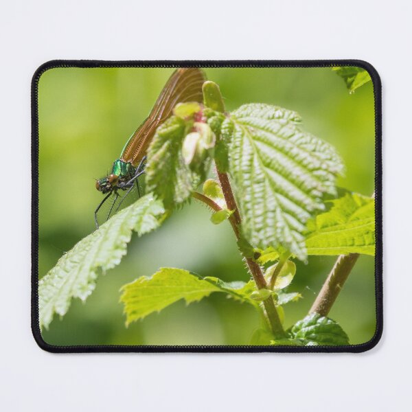 Item preview, Beautiful Demoiselle designed and sold by LaurenTucker.