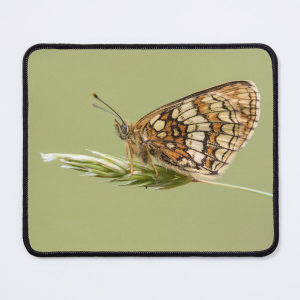 Item preview, Heath Fritillary designed and sold by LaurenTucker.