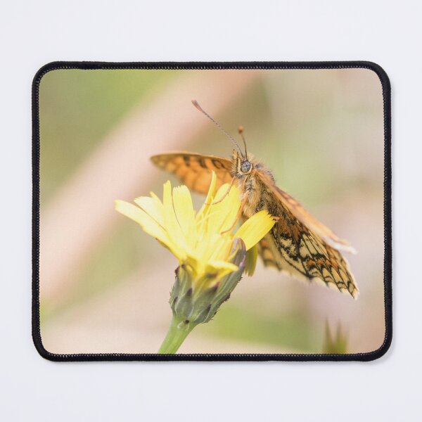 Item preview, Heath Fritillary designed and sold by LaurenTucker.