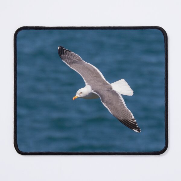 Item preview, Lesser Black Backed Gull designed and sold by LaurenTucker.