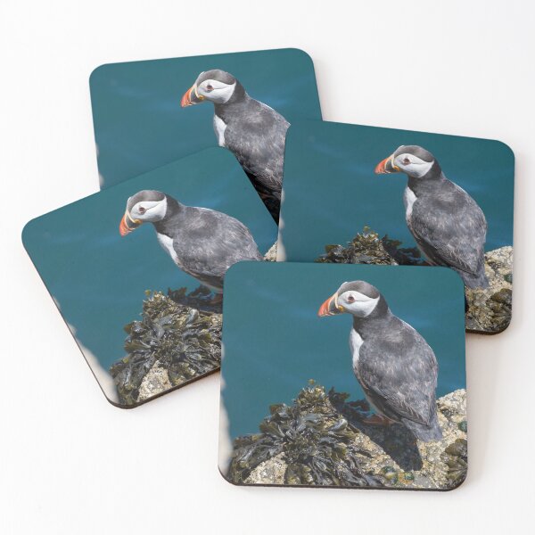 Item preview, Puffin designed and sold by LaurenTucker.
