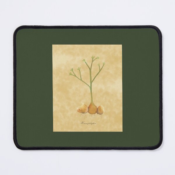 Item preview, Horneophyton, fossil plant, watercolor designed and sold by SharonRoseR.