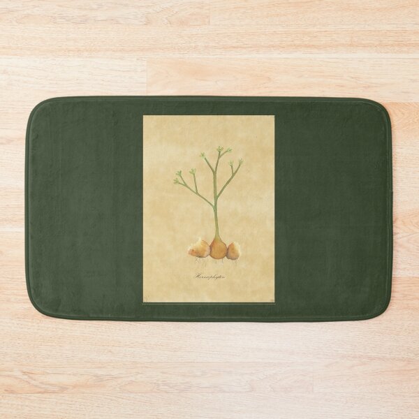Item preview, Horneophyton, fossil plant, watercolor designed and sold by SharonRoseR.