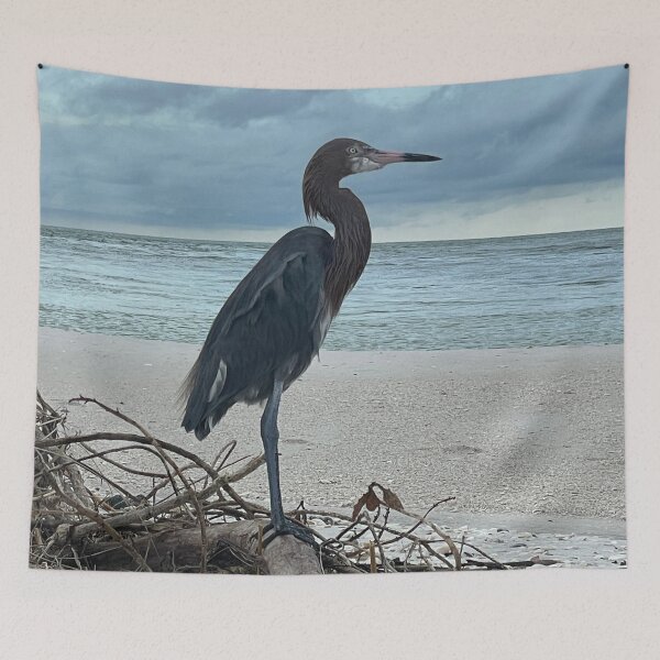 Item preview, Tri Colored Heron, on the beach designed and sold by Lexipooh76.