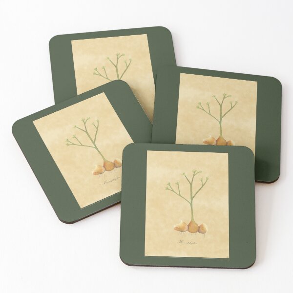Item preview, Horneophyton, fossil plant, watercolor designed and sold by SharonRoseR.