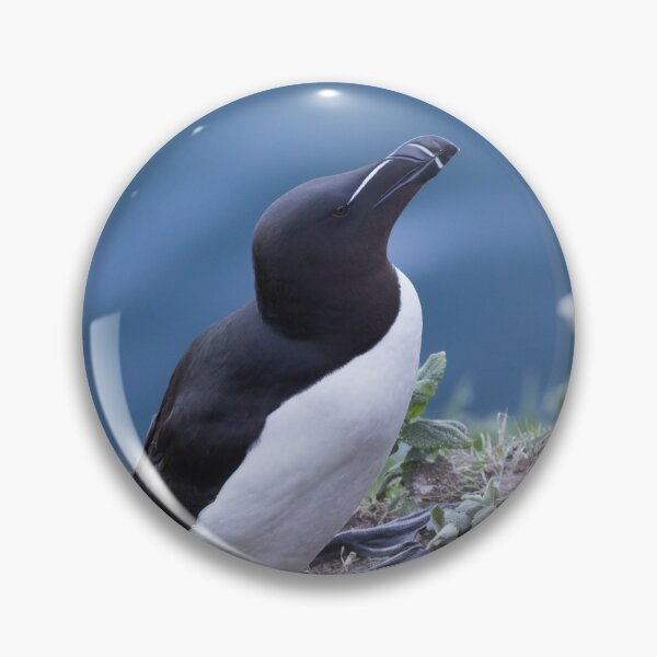 Item preview, Razorbill designed and sold by LaurenTucker.