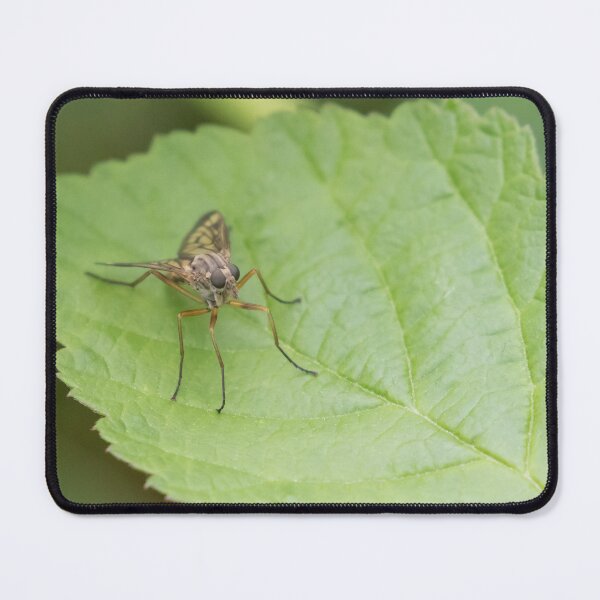 Item preview, Fly Macro designed and sold by LaurenTucker.