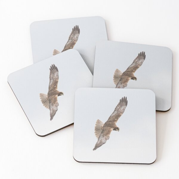 Item preview, Marsh Harrier designed and sold by LaurenTucker.