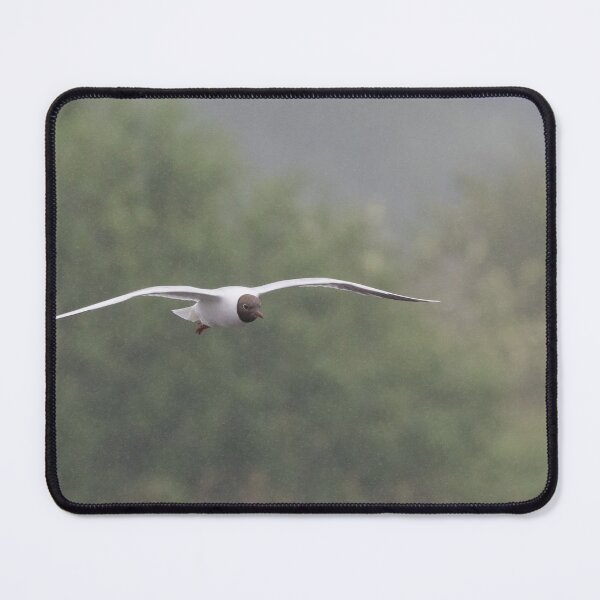 Item preview, Black Headed Gull designed and sold by LaurenTucker.