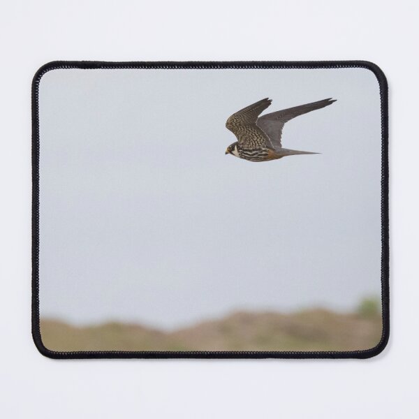 Item preview, Hobby designed and sold by LaurenTucker.