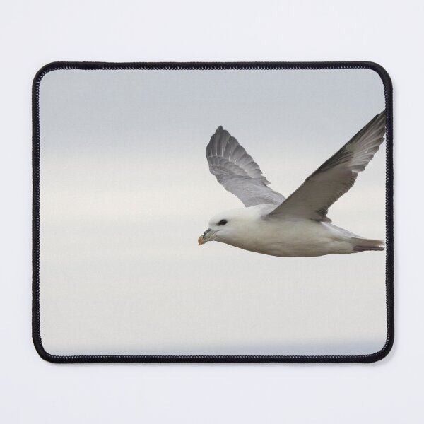 Item preview, Fulmar designed and sold by LaurenTucker.