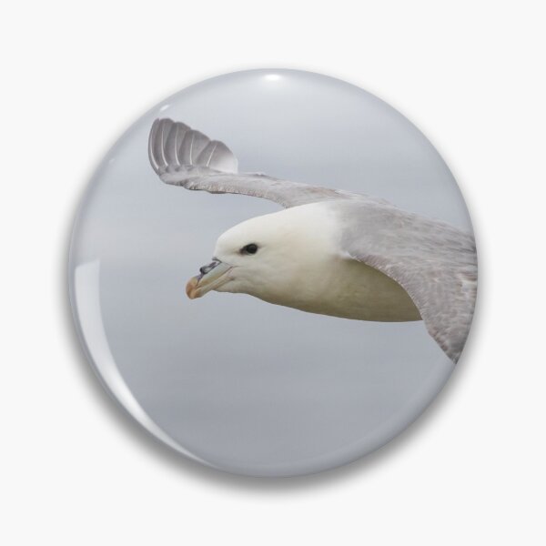 Item preview, Fulmar designed and sold by LaurenTucker.
