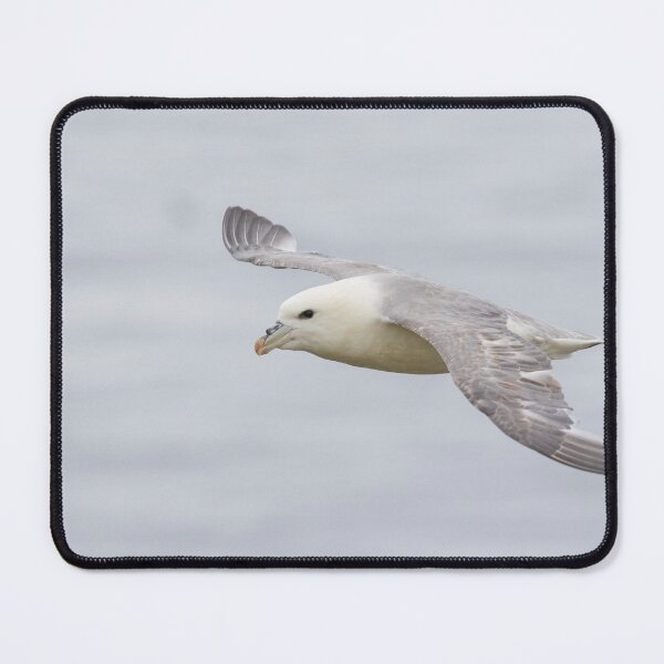Item preview, Fulmar designed and sold by LaurenTucker.
