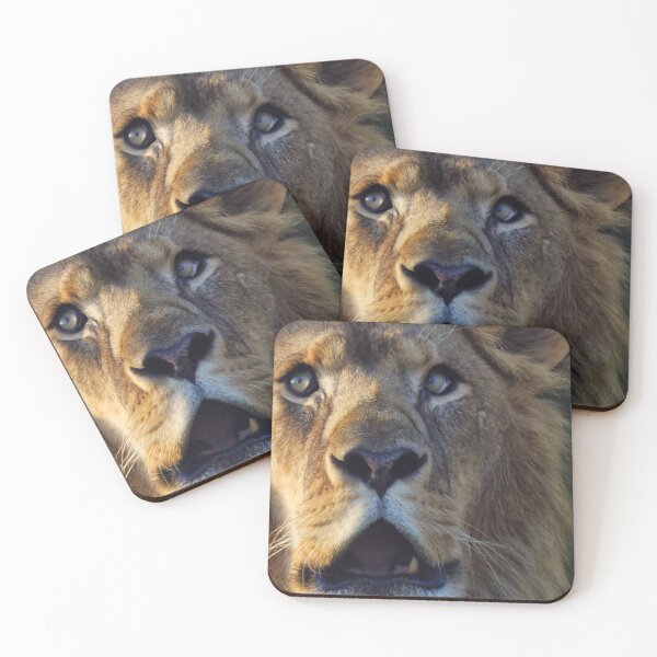 Item preview, Kasanga designed and sold by Joanne wilde.