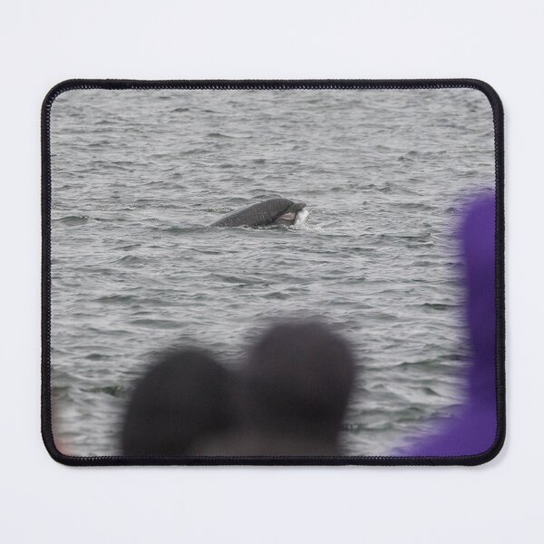 Item preview, Bottlenose Dolphin designed and sold by LaurenTucker.