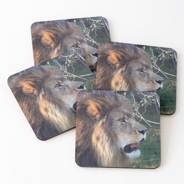 Item preview, Kasanga designed and sold by Joanne wilde.