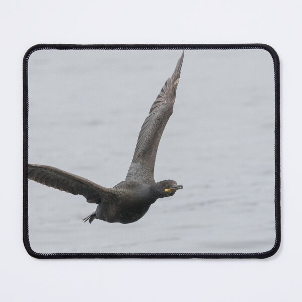 Item preview, Shag designed and sold by LaurenTucker.