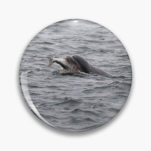 Item preview, Bottlenose Dolphins designed and sold by LaurenTucker.