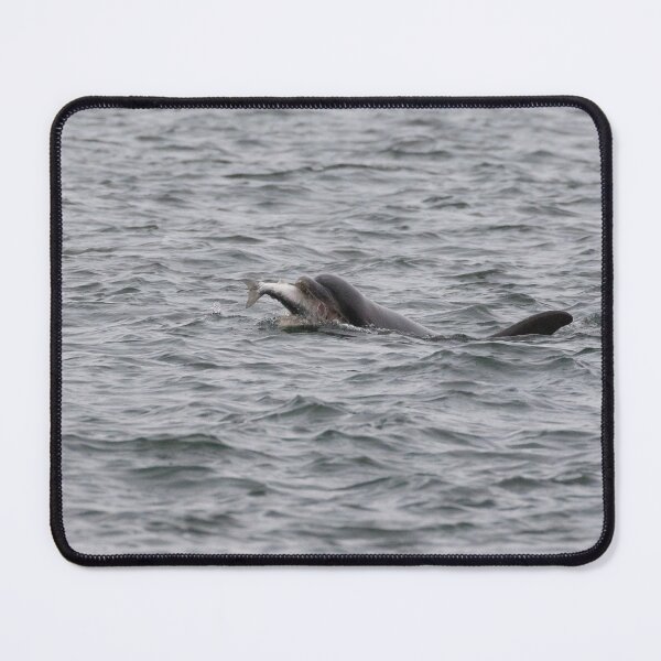 Item preview, Bottlenose Dolphins designed and sold by LaurenTucker.