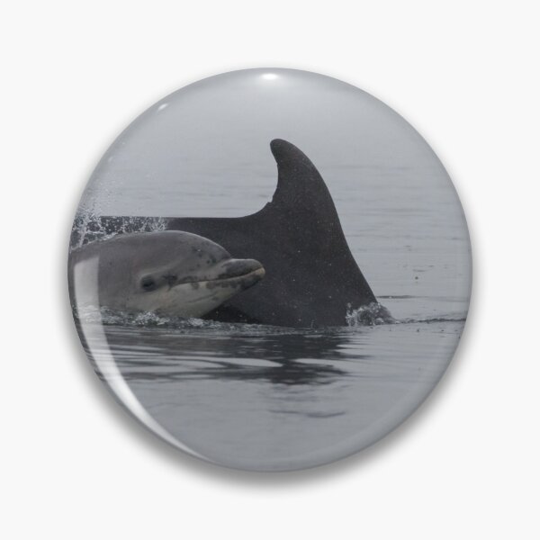Item preview, Bottlenose Dolphin designed and sold by LaurenTucker.