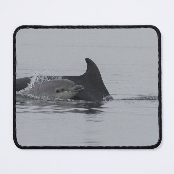 Item preview, Bottlenose Dolphin designed and sold by LaurenTucker.