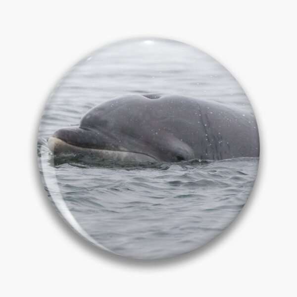 Item preview, Bottlenose Dolphin designed and sold by LaurenTucker.