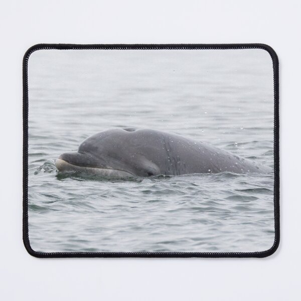 Item preview, Bottlenose Dolphin designed and sold by LaurenTucker.