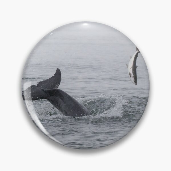 Item preview, Bottlenose Dolphin designed and sold by LaurenTucker.