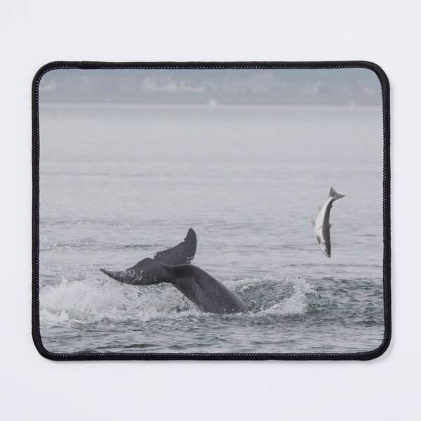 Item preview, Bottlenose Dolphin designed and sold by LaurenTucker.