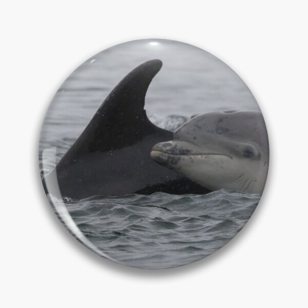 Item preview, Bottlenose Dolphin designed and sold by LaurenTucker.