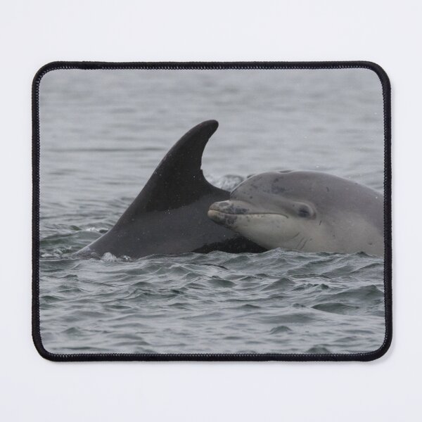 Item preview, Bottlenose Dolphin designed and sold by LaurenTucker.