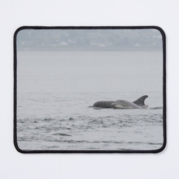Item preview, Bottlenose Dolphin designed and sold by LaurenTucker.